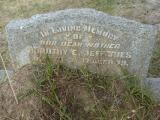 image of grave number 814824